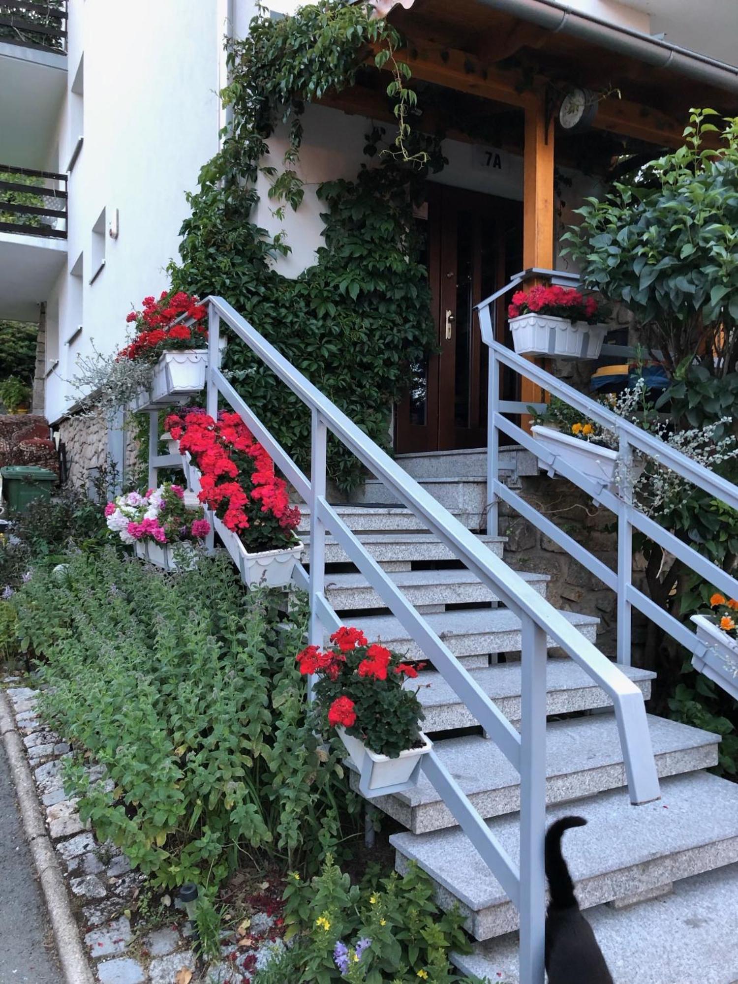 Azyl Karpacz - Kazdy Pokoj Z Wlasna Kuchnia I Lazienka Exterior foto